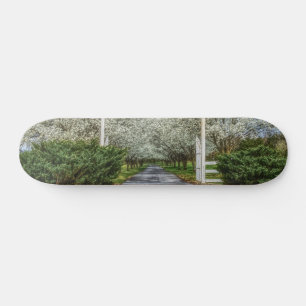 Spring Drive Home Skateboard