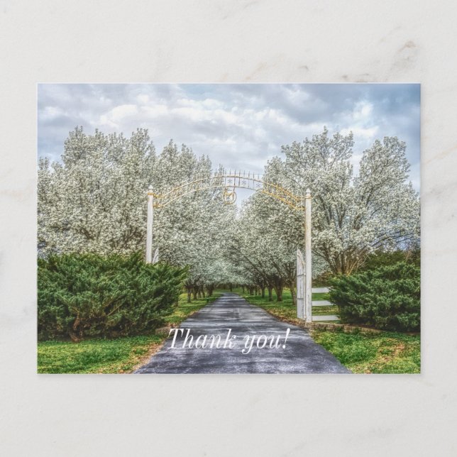 Spring Drive Home Thank You Postcard (Front)