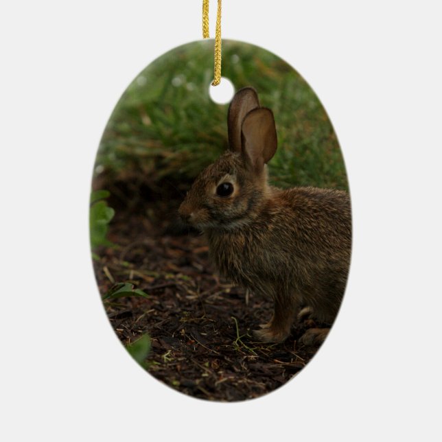 Spring/Easter: Chick, Rabbit Ceramic Ornament (Back)