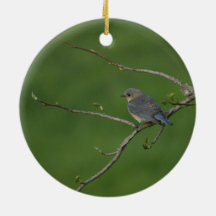 Spring/Easter: Male Bluebird, Female Bluebird