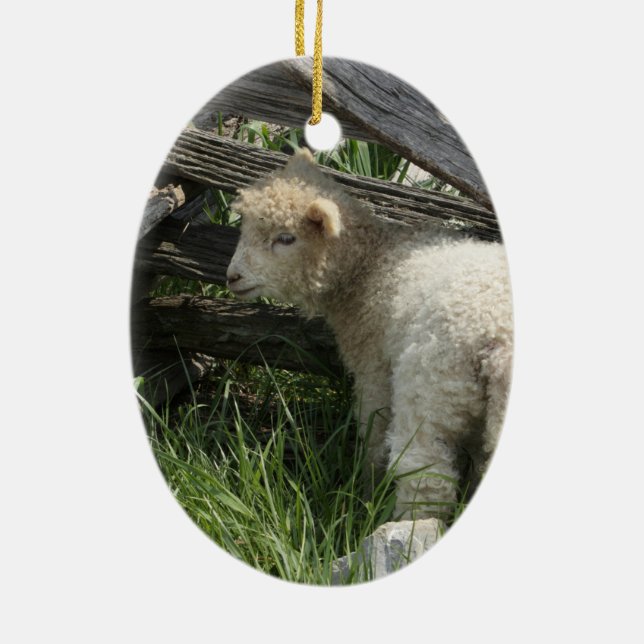 Spring/Easter: Two lambs same grass, One by fence Ceramic Ornament (Back)