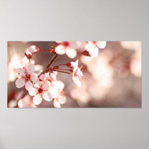 Spring Enchantment Poster