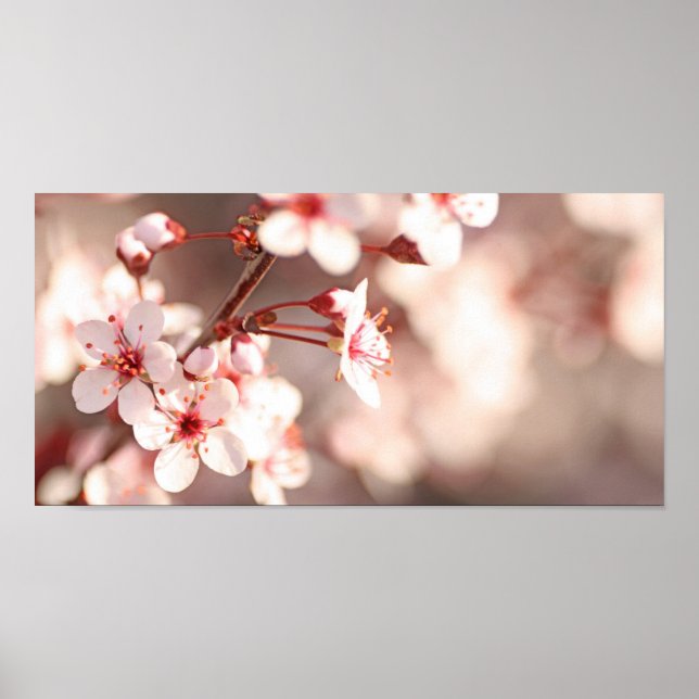 Spring Enchantment Poster (Front)