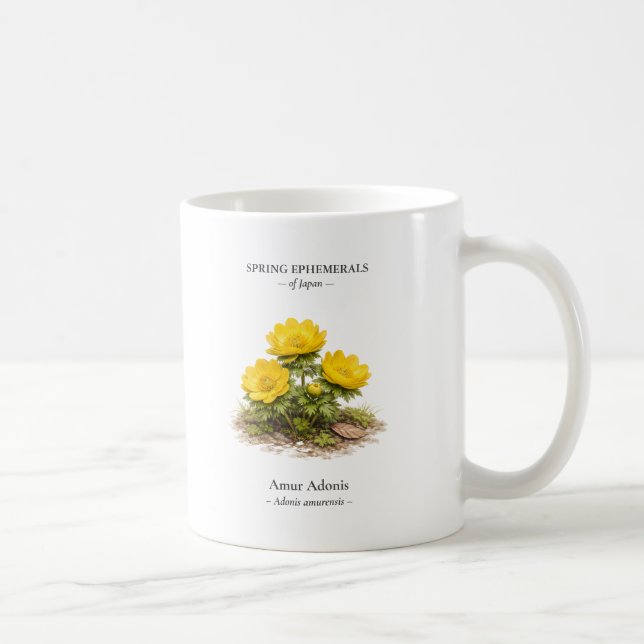 Spring Ephemerals of Japan – Amur Adonis Coffee Mug (Right)