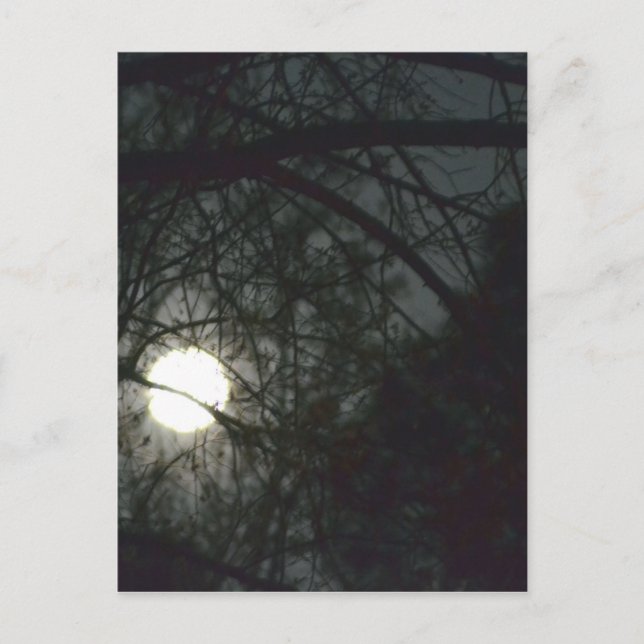 Spring Equinox Full Moon Postcard (Front)