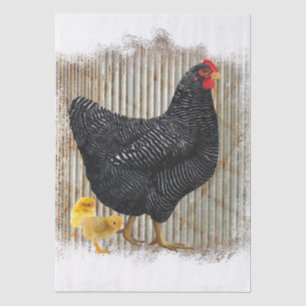 Spring Farm Hen Chickens Watercolor Tissue Paper