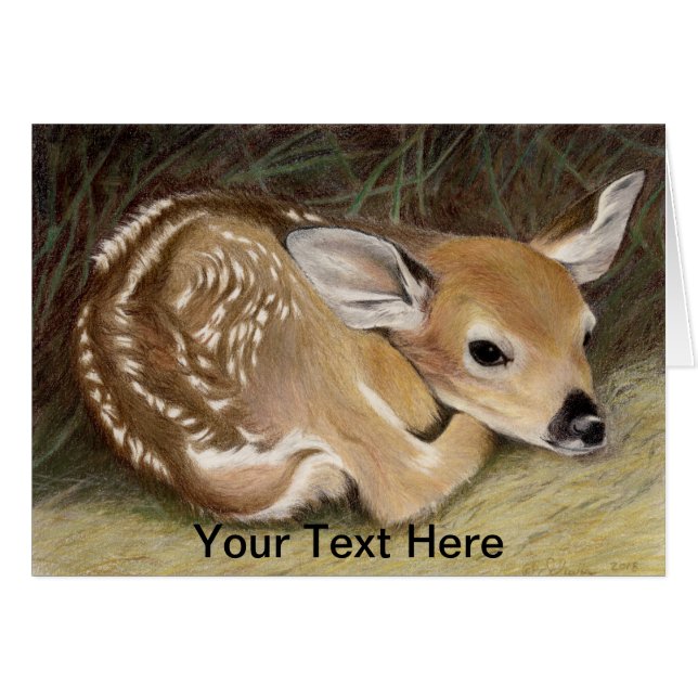 Spring Fawn (Front Horizontal)