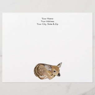 Spring Fawn Letterhead