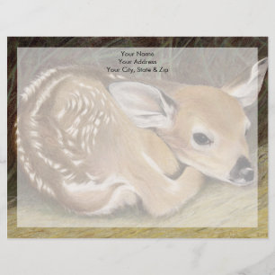 Spring Fawn Letterhead