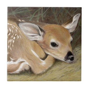 Spring Fawn Tile
