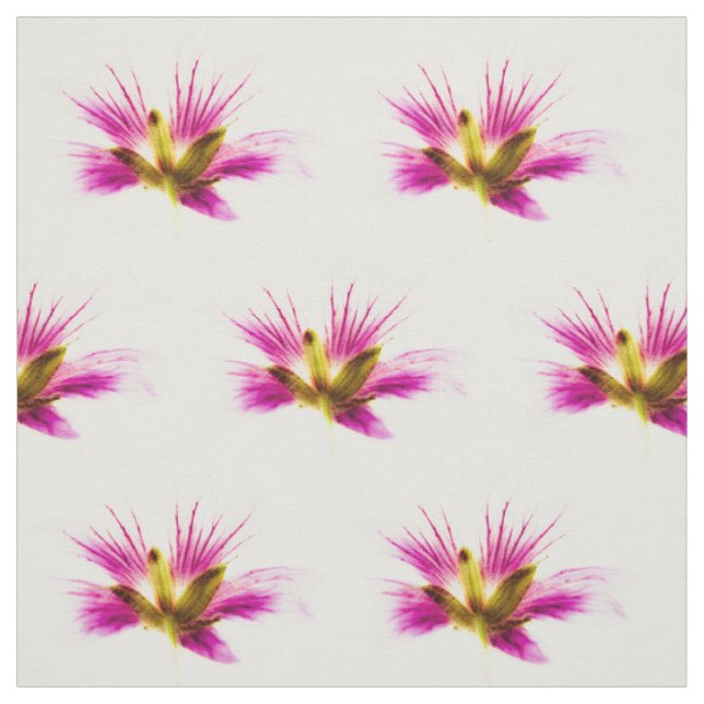 Spring Feather Flowers Fabric (Swatch)