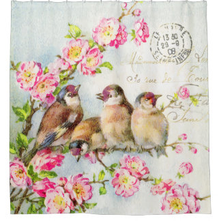 Spring Feathers Shower Curtain