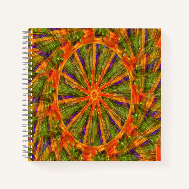 Spring Ferris Wheel..... Notebook (Front)