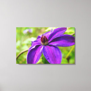 Spring Fling Canvas Print