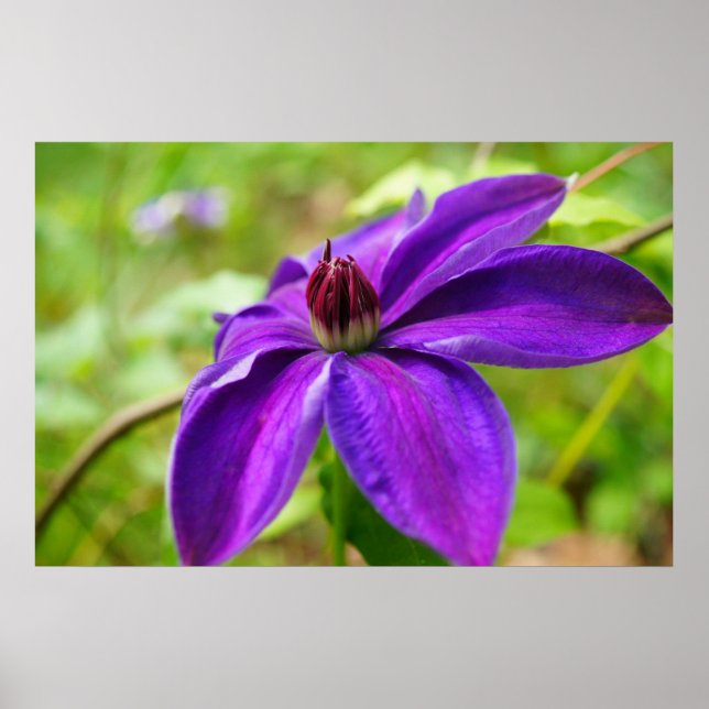 Spring Fling! Poster (Front)