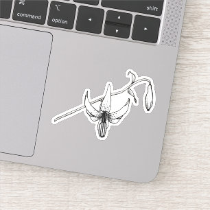 Spring Floral Columbia Lily Botanical Sticker