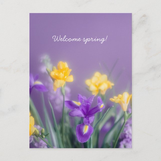 Spring Floral Greeting, pastel aesthetic Postcard (Front)