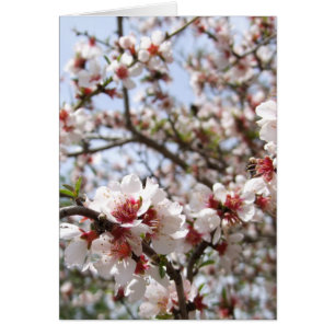 Spring Flower Blossom Card