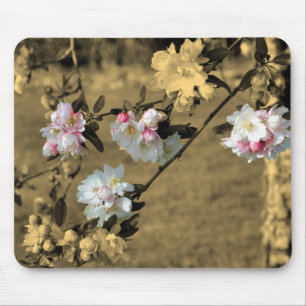 Spring Flower Blossoms In Sepia Mouse Pad