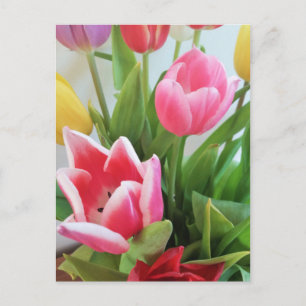 Spring Flower Bouquet Tulips, Floral, Nature Postcard