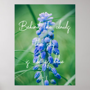 Spring Flower (Grape Hyacinth) Poster