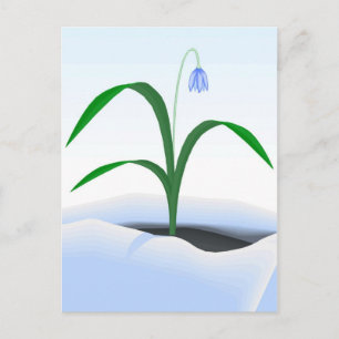 Spring flower in the snow postcard