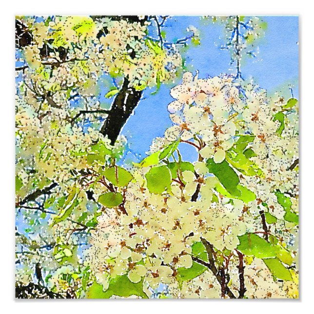 Spring Flowering Tree Watercolor Photo Enlargement Print (Front)