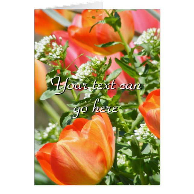 Spring Flowers (Front)