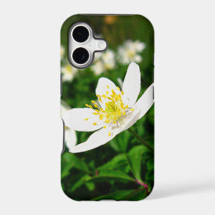 spring flowers