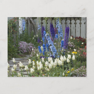 Spring flowers along a garden path, Georgia Postcard