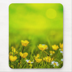 Spring Flowers Background-31653 Mouse Pad