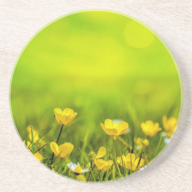 Spring Flowers Background Coaster (Front)