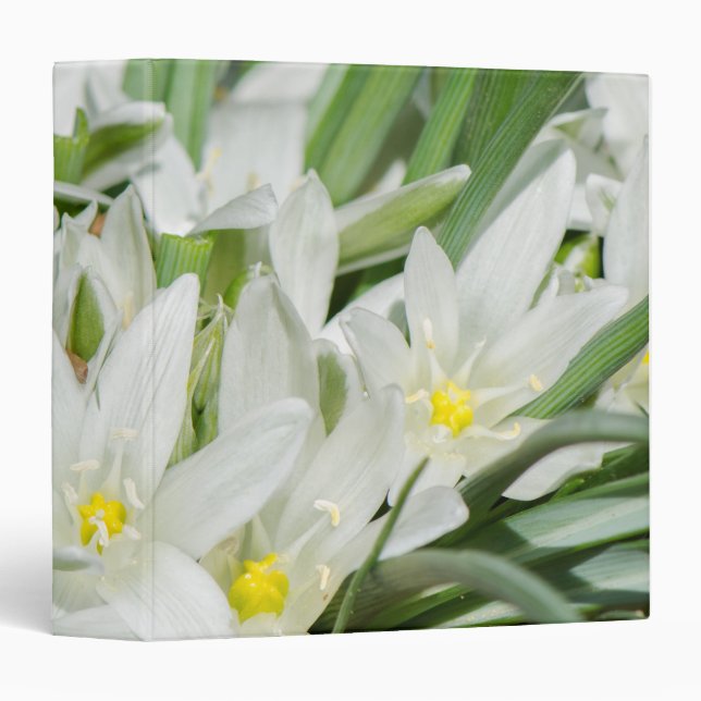 Spring flowers binder (Front/Spine)