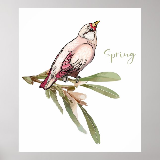 Spring flowers birds. Snowdrops. Poster (Front)