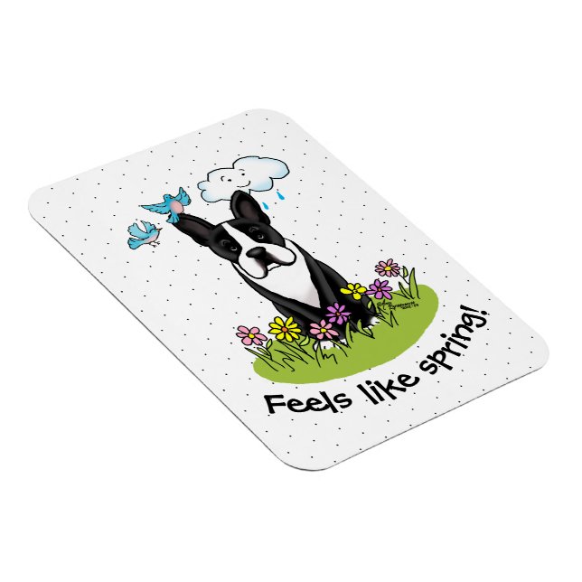 Spring Flowers Boston Terrier Dog (black) Cute Magnet (Right Side)