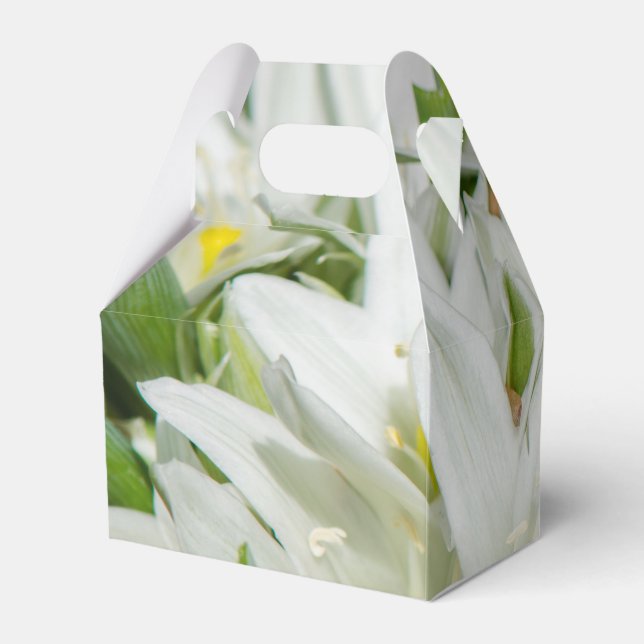 Spring flowers favor box (Back Side)