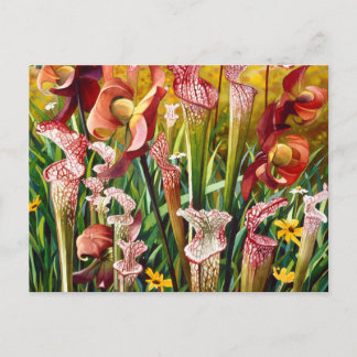 "Spring Flowers" Floral Watercolor Art Postcard