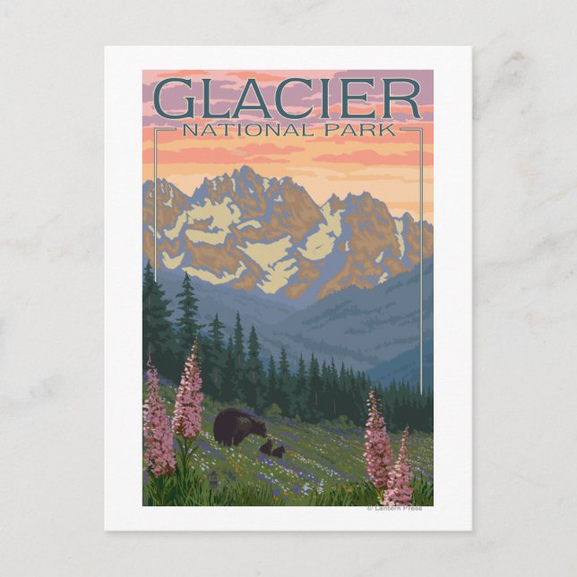 Spring Flowers - Glacier National Park, MT Postcard (Front)
