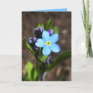 Spring Flowers Greeting Card