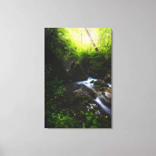 Spring flowers in enchanted river forest canvas print (Front)