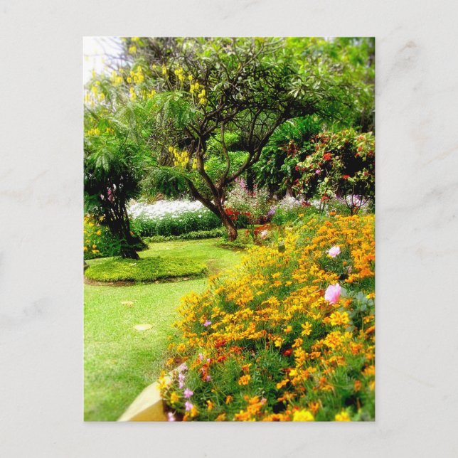 Spring flowers in Funchal, Madeira (Portugal) Postcard (Front)