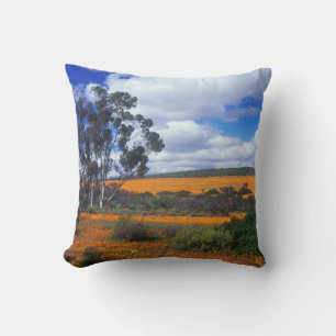 Spring flowers in Namaqualand, South Africa Throw Pillow