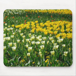 Spring Flowers Mouse Pad
