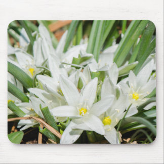 Spring flowers mouse pad
