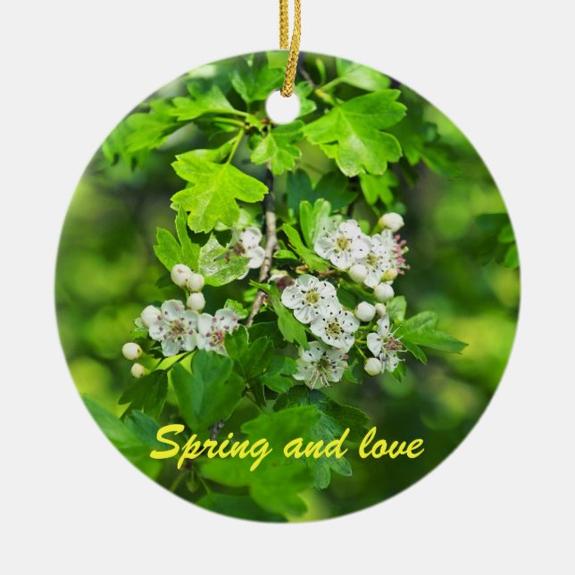 spring flowers, Spring and love Ceramic Ornament (Front)