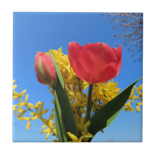 spring flowers, tulips, colourful + flowers, blue tile