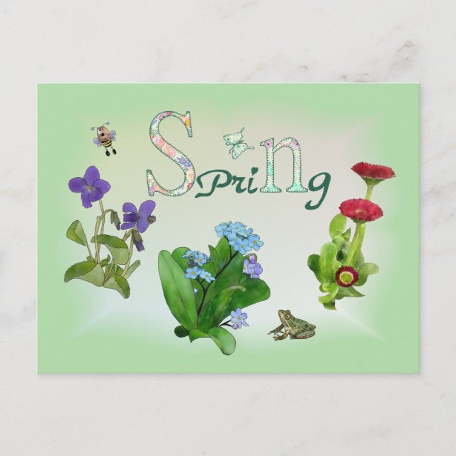 Spring flowers with frog postcard (Front)