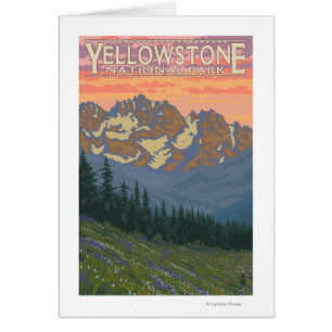 Spring Flowers - Yellowstone National Park