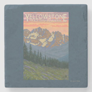 Spring Flowers - Yellowstone National Park Stone Coaster