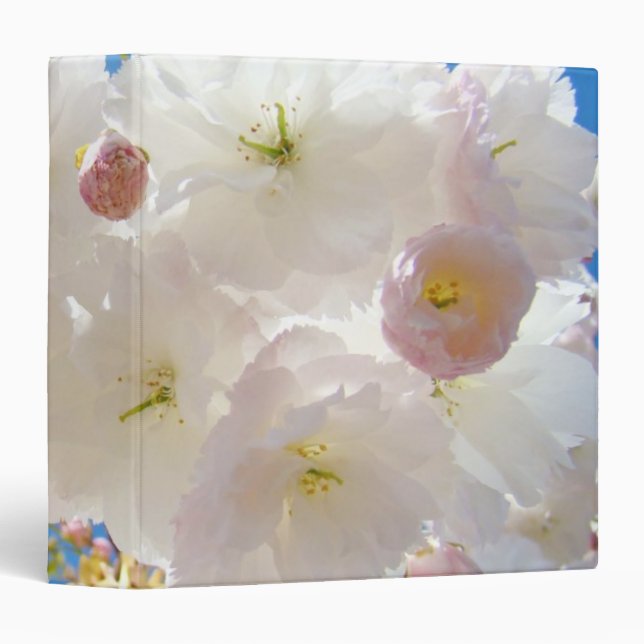 Spring Fluffy Pink White Tree Blossoms binder (Front/Spine)